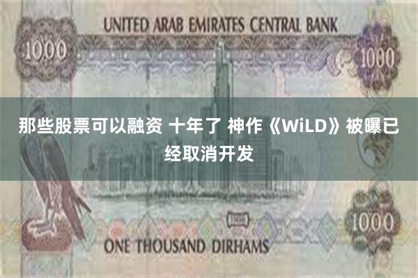 那些股票可以融资 十年了 神作《WiLD》被曝已经取消开发