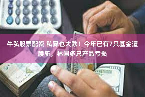 牛弘股票配资 私募也大跌！今年已有7只基金遭腰斩，林园多只产品亏损