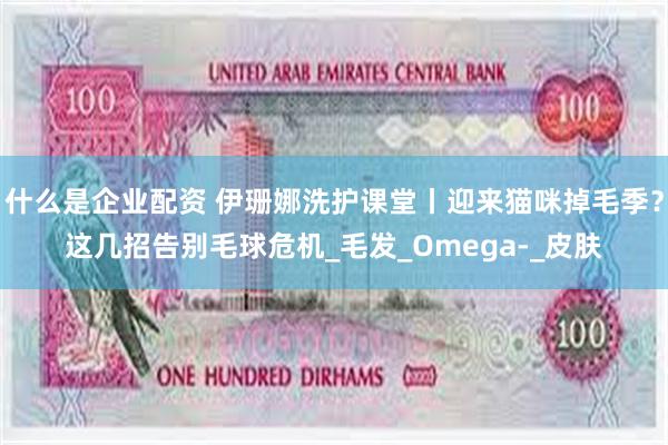 什么是企业配资 伊珊娜洗护课堂丨迎来猫咪掉毛季？这几招告别毛球危机_毛发_Omega-_皮肤