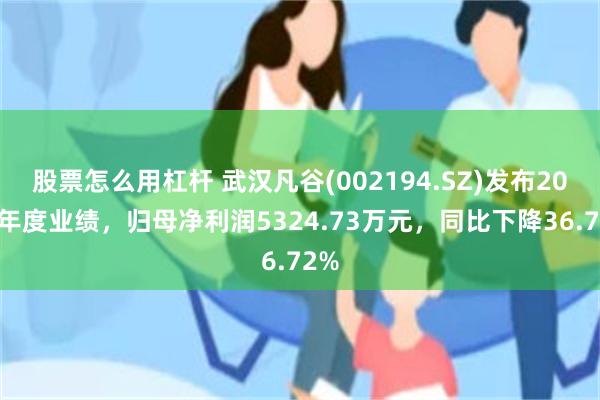 股票怎么用杠杆 武汉凡谷(002194.SZ)发布2024年度业绩，归母净利润5324.73万元，同比下降36.72%