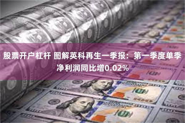 股票开户杠杆 图解英科再生一季报：第一季度单季净利润同比增0.02%