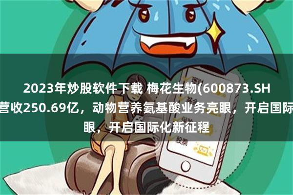 2023年炒股软件下载 梅花生物(600873.SH)2024年营收250.69亿，动物营养氨基酸业务亮眼，开启国际化新征程