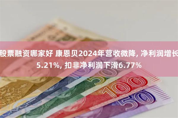 股票融资哪家好 康恩贝2024年营收微降, 净利润增长5.21%, 扣非净利润下滑6.77%