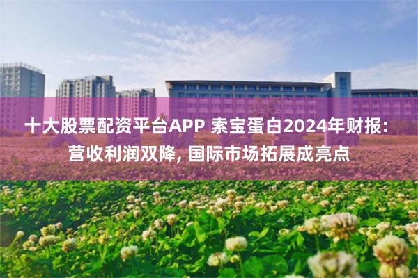 十大股票配资平台APP 索宝蛋白2024年财报: 营收利润双降, 国际市场拓展成亮点
