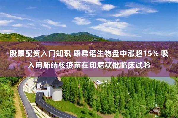 股票配资入门知识 康希诺生物盘中涨超15% 吸入用肺结核疫苗在印尼获批临床试验