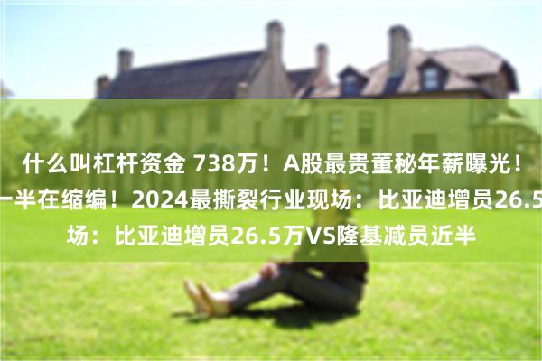 什么叫杠杆资金 738万！A股最贵董秘年薪曝光！近七成公司涨薪，一半在缩编！2024最撕裂行业现场：比亚迪增员26.5万VS隆基减员近半
