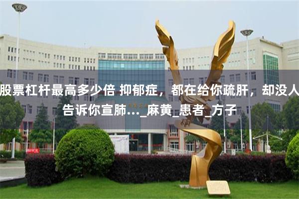 股票杠杆最高多少倍 抑郁症，都在给你疏肝，却没人告诉你宣肺..._麻黄_患者_方子