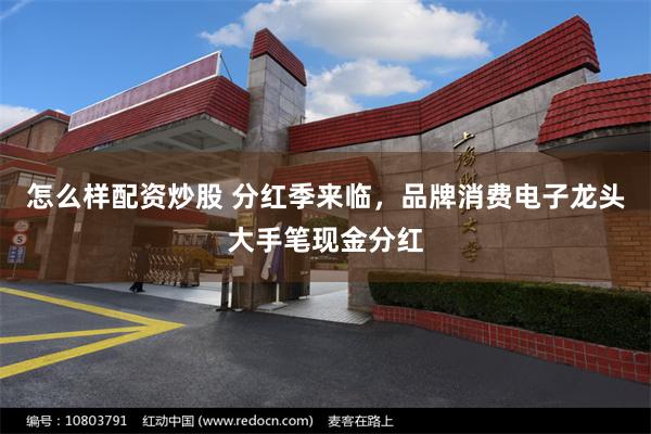 怎么样配资炒股 分红季来临，品牌消费电子龙头大手笔现金分红