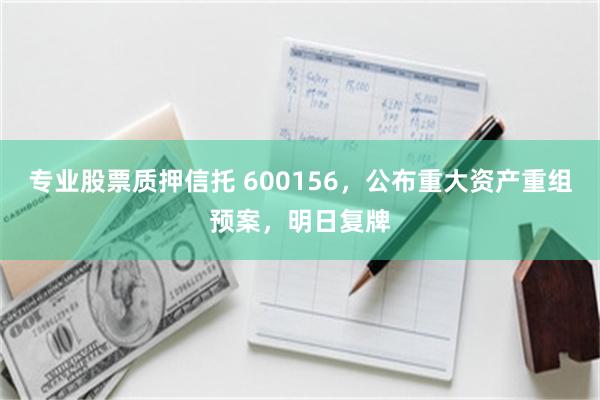 专业股票质押信托 600156，公布重大资产重组预案，明日复牌