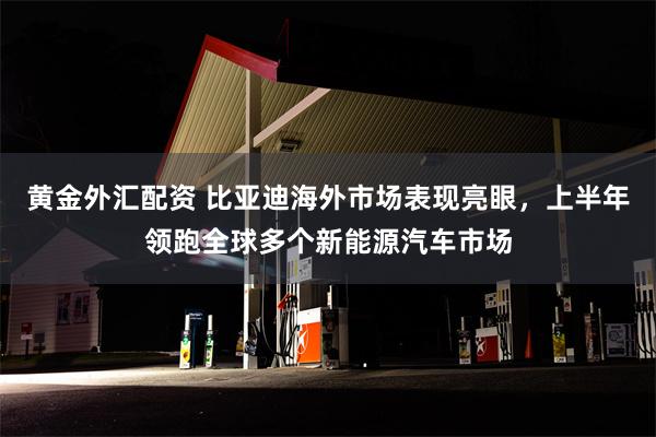 黄金外汇配资 比亚迪海外市场表现亮眼，上半年领跑全球多个新能源汽车市场